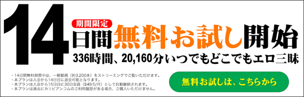 カリビアンコム3日間無料お試しプランの特設ページへ