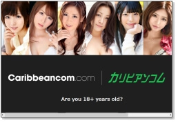 カリビアンコムサイトイメージ
