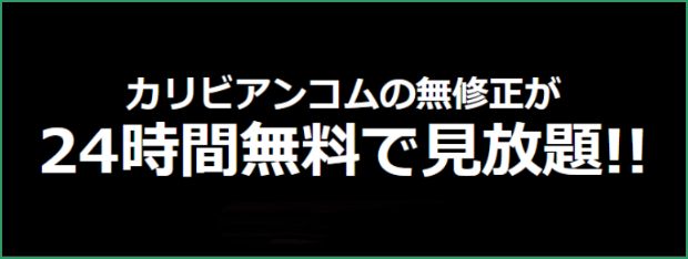 24時間無料プラン