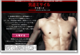 男道ミサイルゲイボーイ