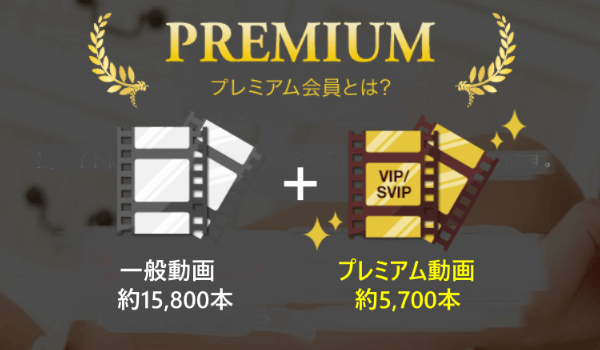Hey動画月額見放題プランのプレミアム動画とは？