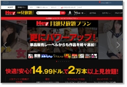 Hey動画月額見放題プランサイトイメージ