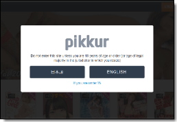 Pikkurサイトイメージ