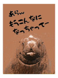 ベテラン風俗嬢イメージ