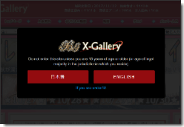 Ｘギャラリーサイトイメージ